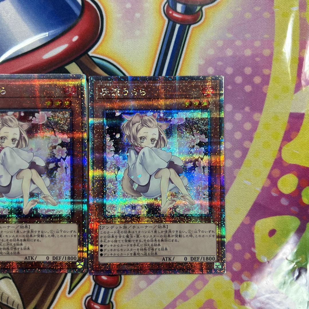 遊戯王　灰流うらら　絵違い　25thシク　3枚セット　極美品　良座標