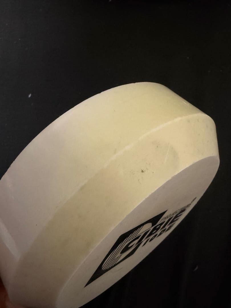 COBIE ライトカバー ストーンガード セット 当時物シビエデュアル