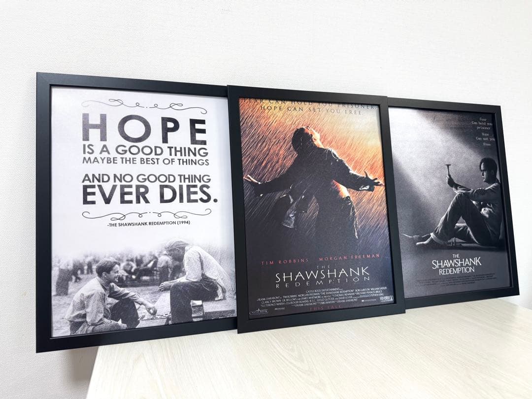 No.289フレーム付きキャンバスアート　ショーシャンクの空に　映画ポスター