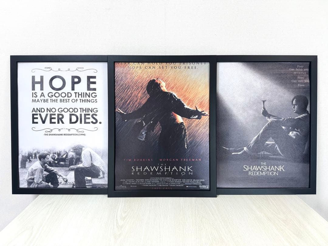 No.289フレーム付きキャンバスアート　ショーシャンクの空に　映画ポスター