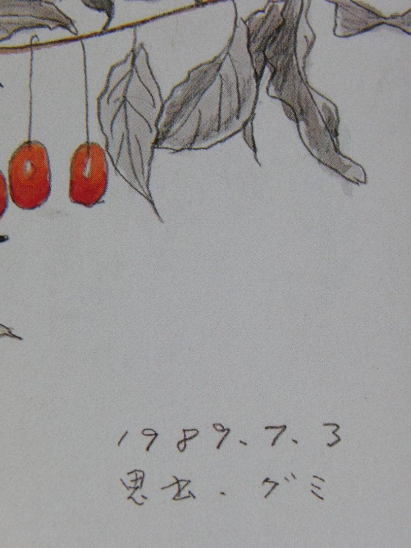 斎藤清、「想出　グミ」、希少な画集の額装画、オーダーマット付・日本製新品額入り