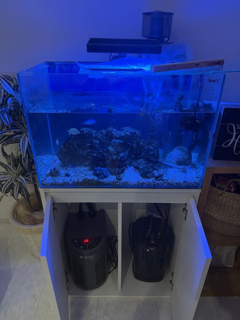 【値下げ】ガラス水槽 SET※ ゆとさん専用