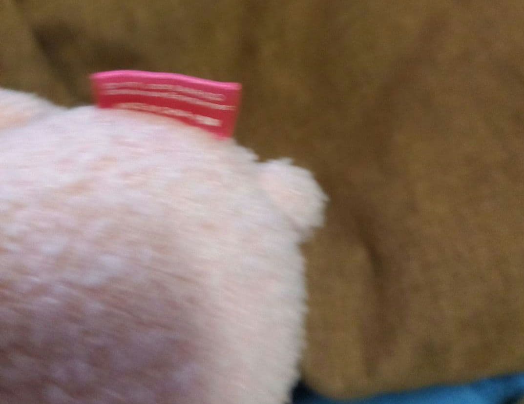 レア☆コラボ☆SANRIO☆2009☆ハローキティ×しょこたん☆貧欲☆ぬいぐるみ