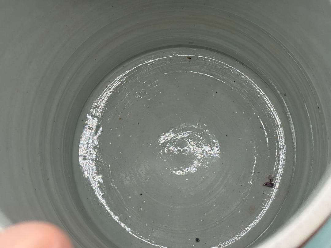 中国 清時代 粉彩 獅子摘み 花鳥紋大壺 送料込み251224 - メルカリ