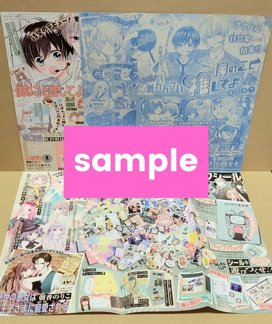 さぼてん様 確認用ページ2