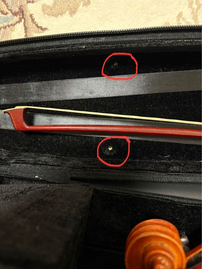 バイオリン イーストマン　本体とケース付き