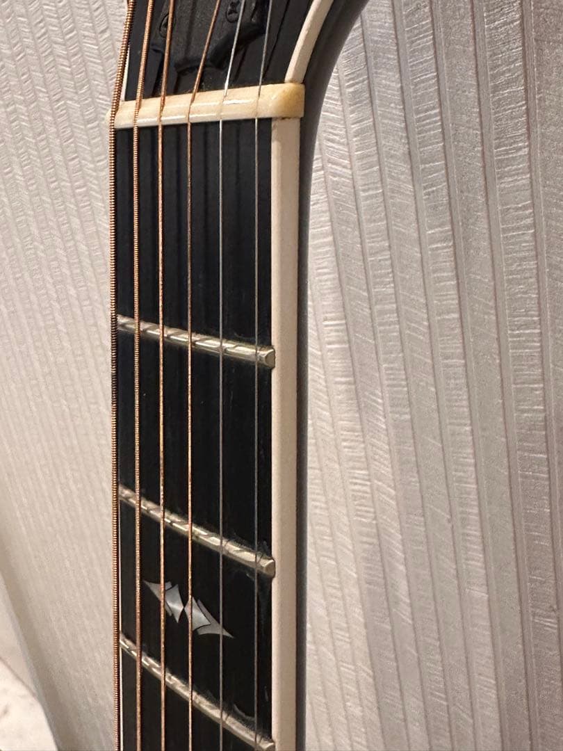 テイラーTaylor T5z Pro GAL