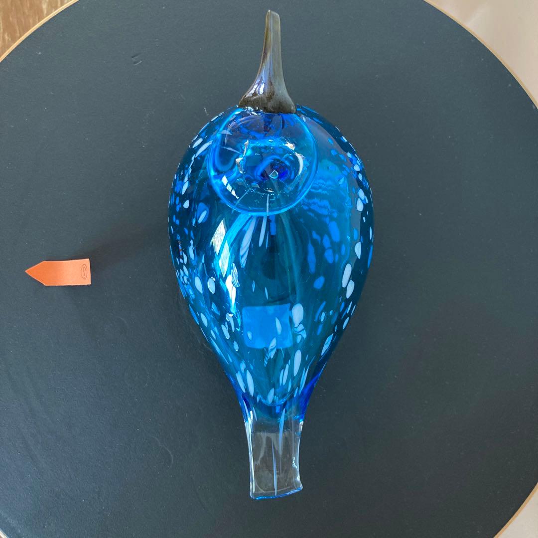 イッタラバードブルーフィンチblue finch ⑦
