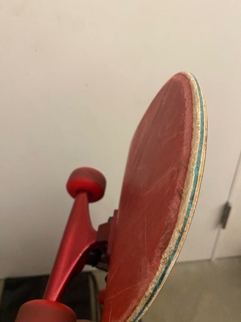 む*様 Santa Cruz スケートボード コンプリート スケボー サンタクル