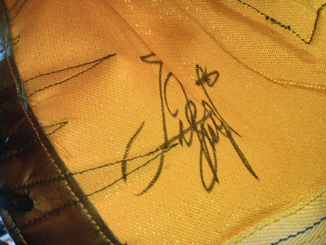 ト*ー様 値下げ！タイガーマスク試合用マスク (伝説)3代目タイガー・金本浩二サ