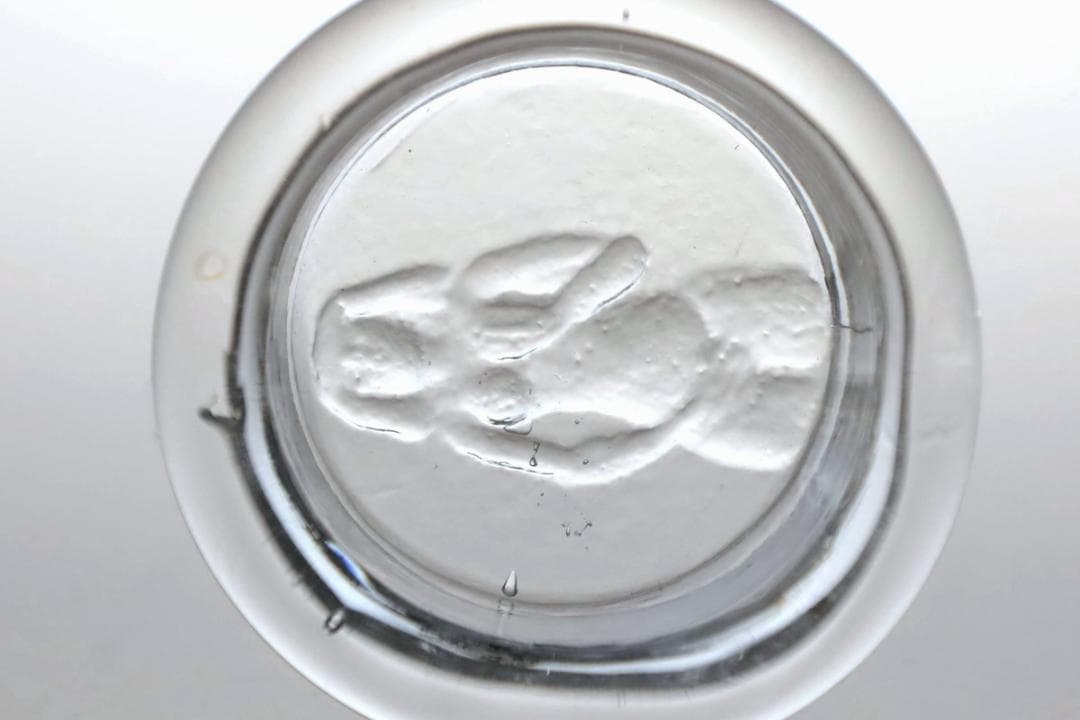 Erik Hoglund エリックホグラン 灰皿 アッシュトレイ 49486