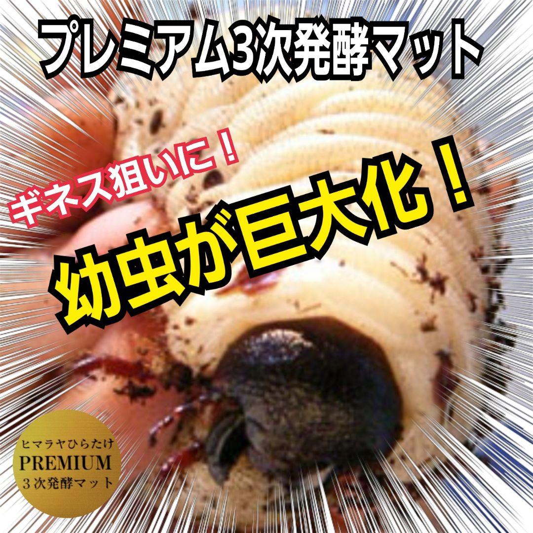 ショップ カブトムシ幼虫がビッグに！プレミアム3次発酵マット【90