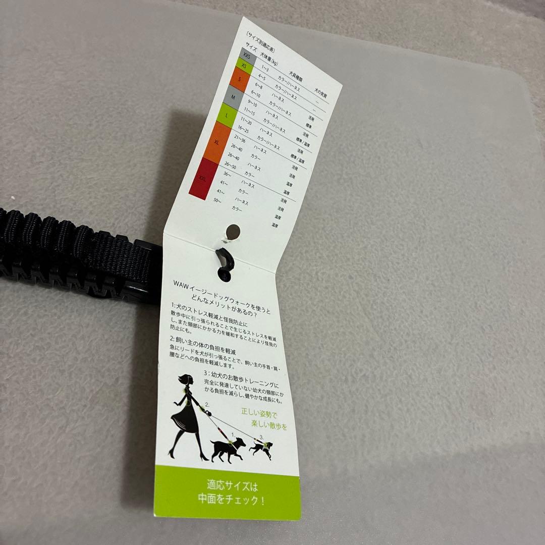 DADWAY】イタリア製 ペット用 犬 リードM 2点 新品