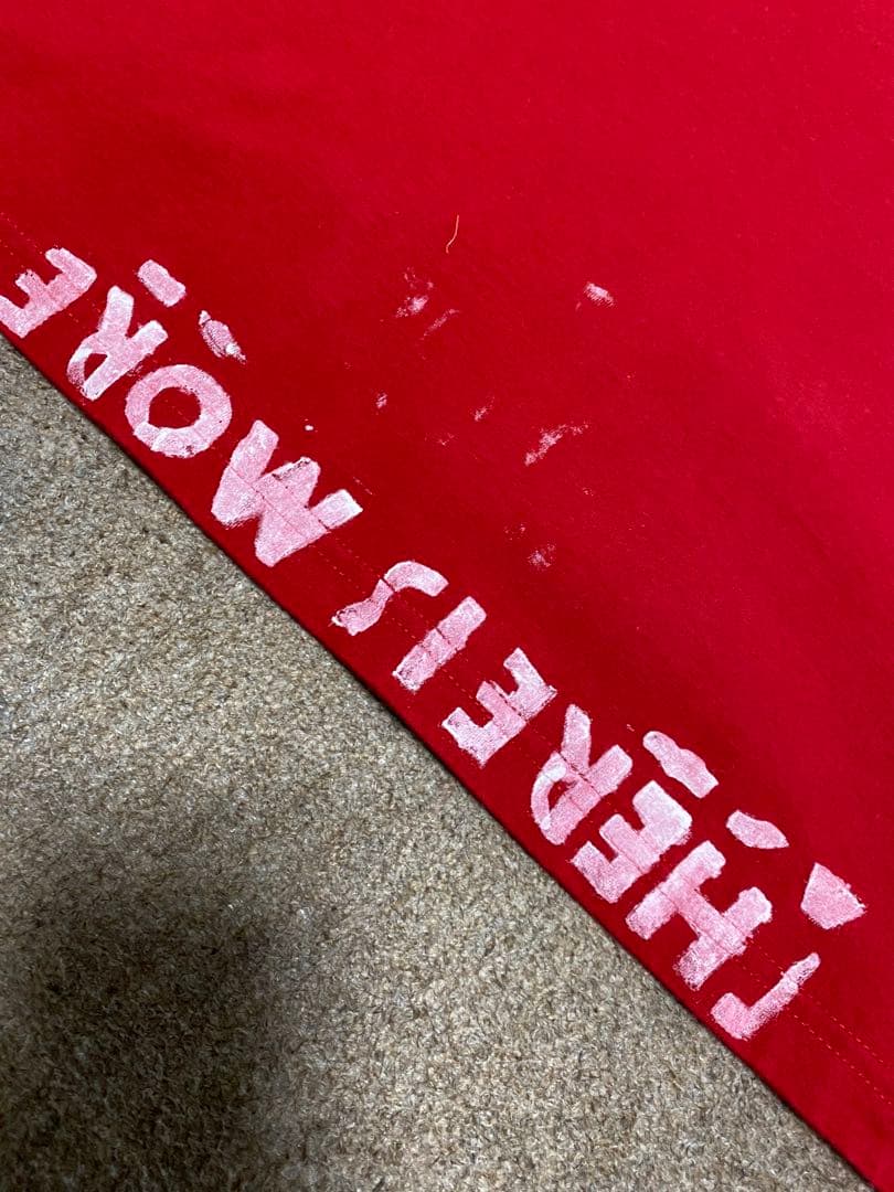 ☆極上‼️人気サイズ☆エイズ Tシャツ 赤×白 L 00SS ここのえタグ 初期物