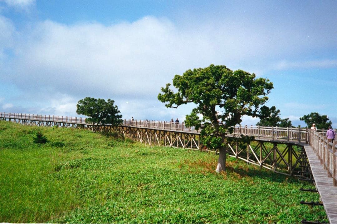 OLYMPUS 35 RC 製備品、テスト撮影済 170019