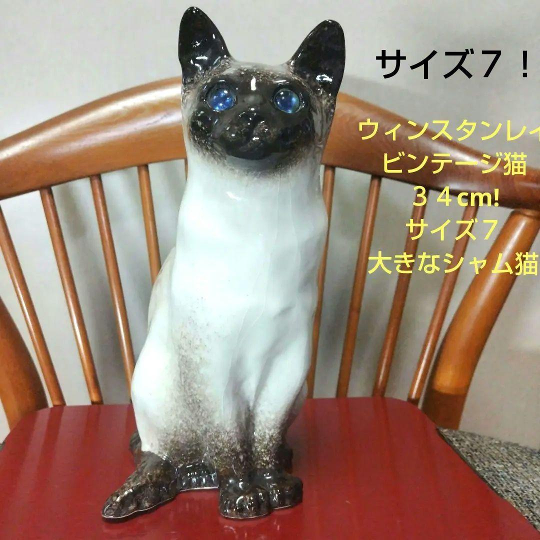 ウィンスタンレイキャット（ケンジントンキャット）サイズ7の大きな