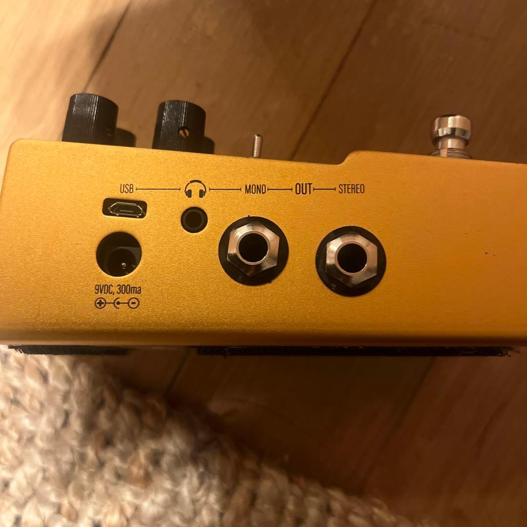 WALRUS AUDIO [ACS] ギターエフェクター