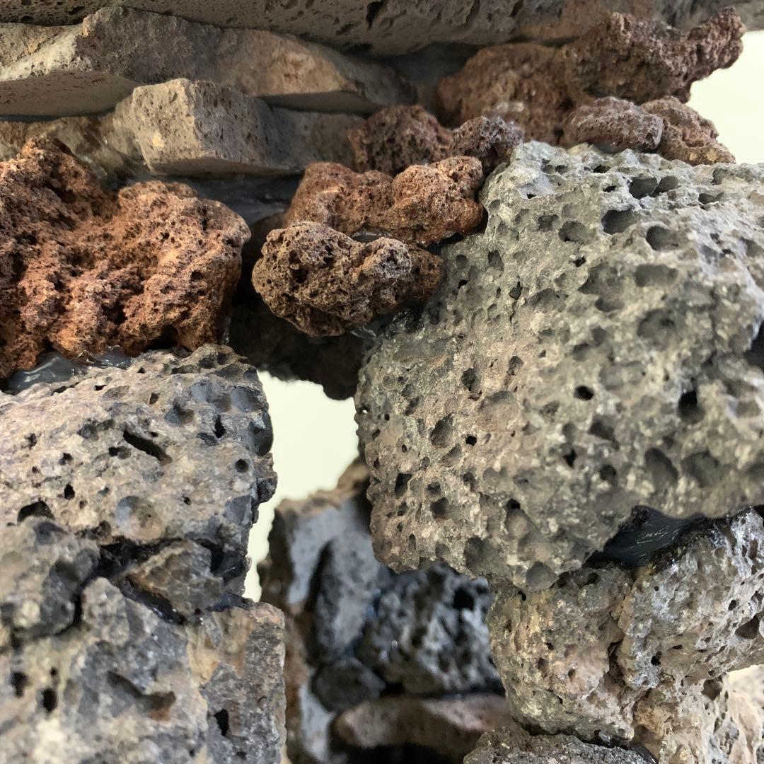 荒崎海岸デザイン溶岩ピクシーシュリンプ海水魚水槽溶岩石レイアウト濾過