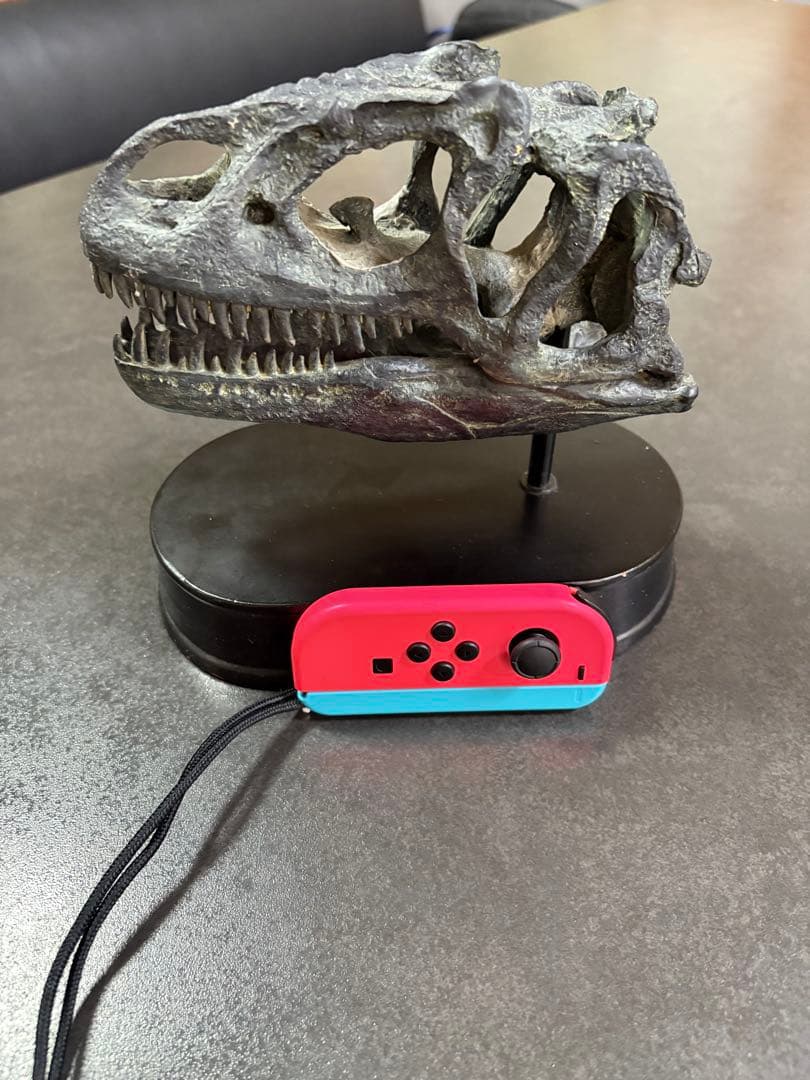 恐竜（アロサウルス）の頭部模型 黒色台座付き - メルカリ