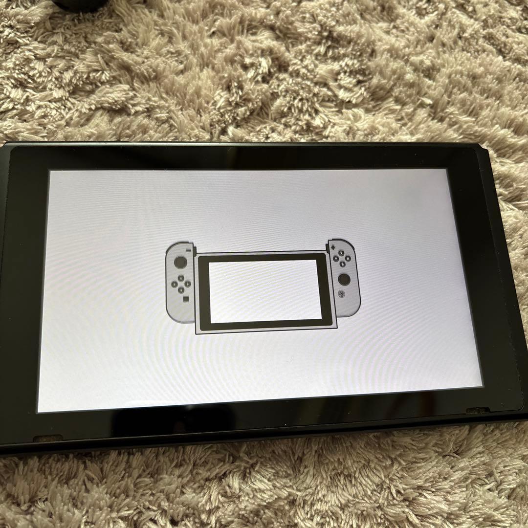 Switch 本体 +PROコン＋ACアダプタ+ドッグ+セット ⚠️要確認