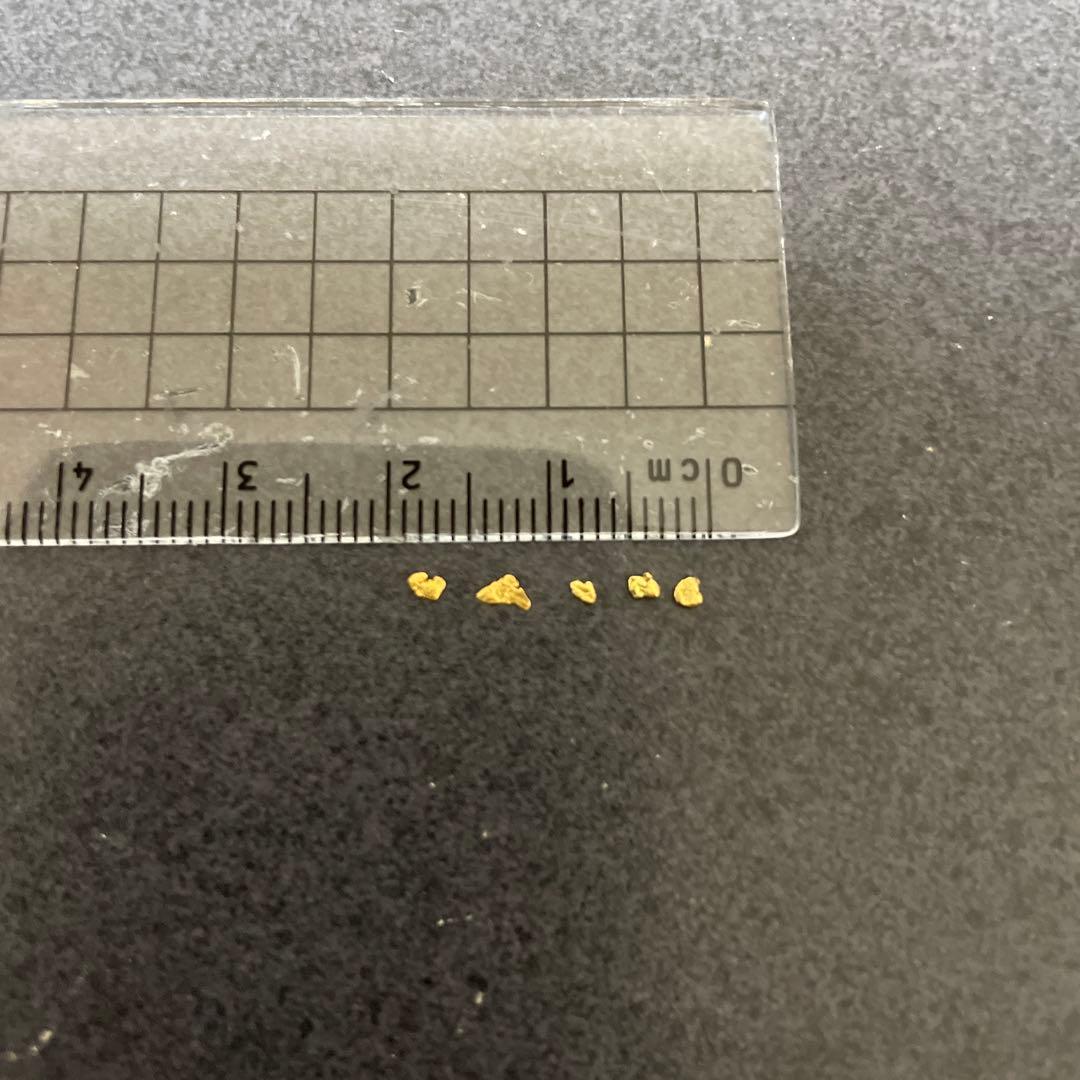 最終値下】佐渡西三川ゴールドパーク 佐渡金山 砂金 5粒