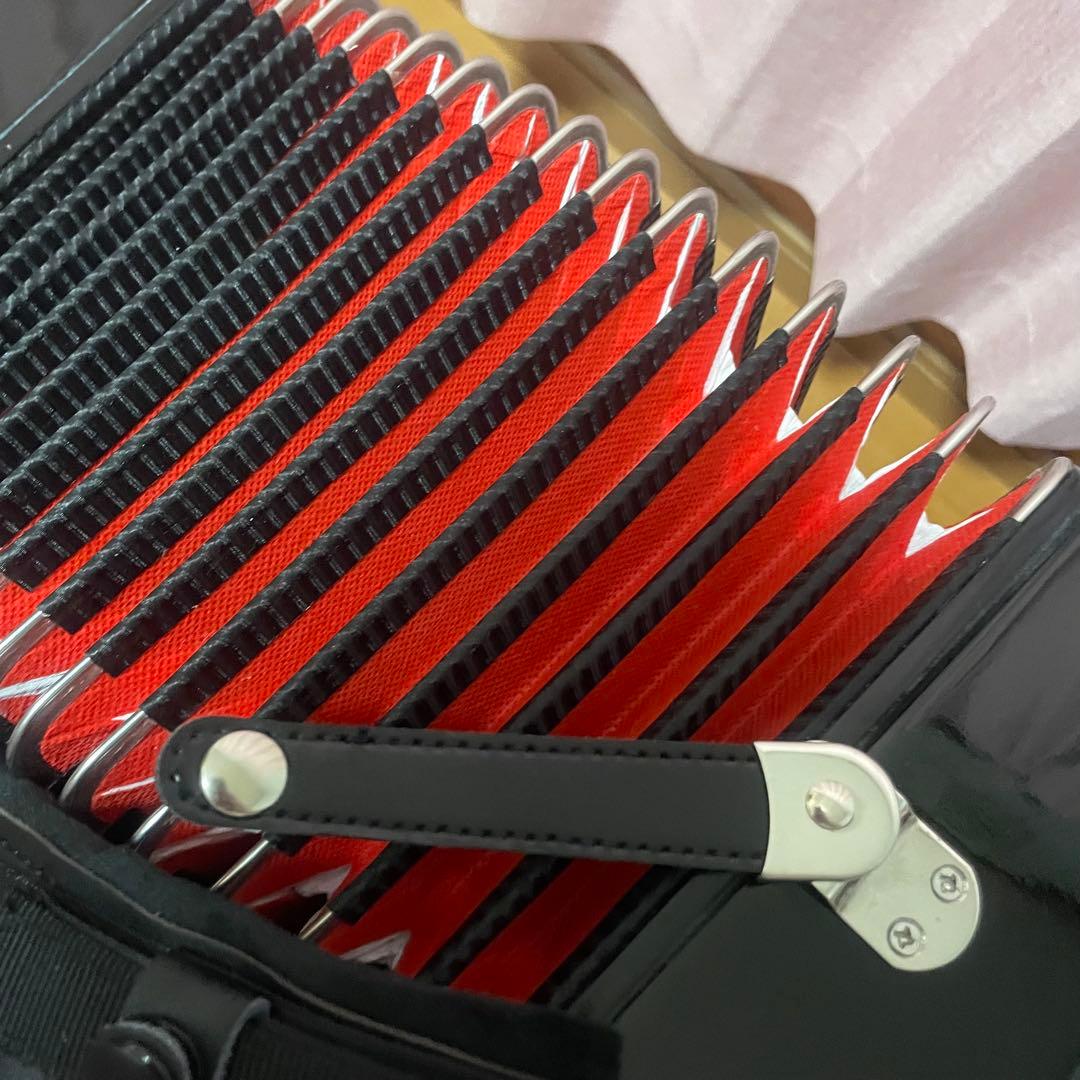 【超美品】ボタン式アコーディオン(ケース付き)