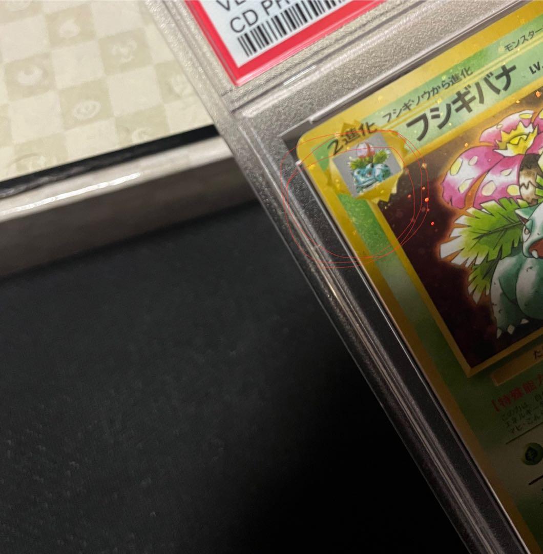フジギバナ　旧裏　psa10