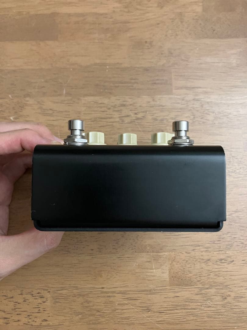 Strymon FLINT トレモロ リバーブ