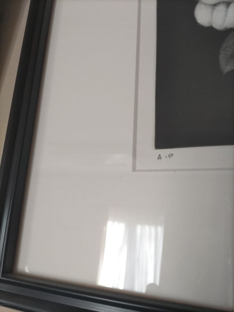 小泉淳作 白い椿 版画 - メルカリ