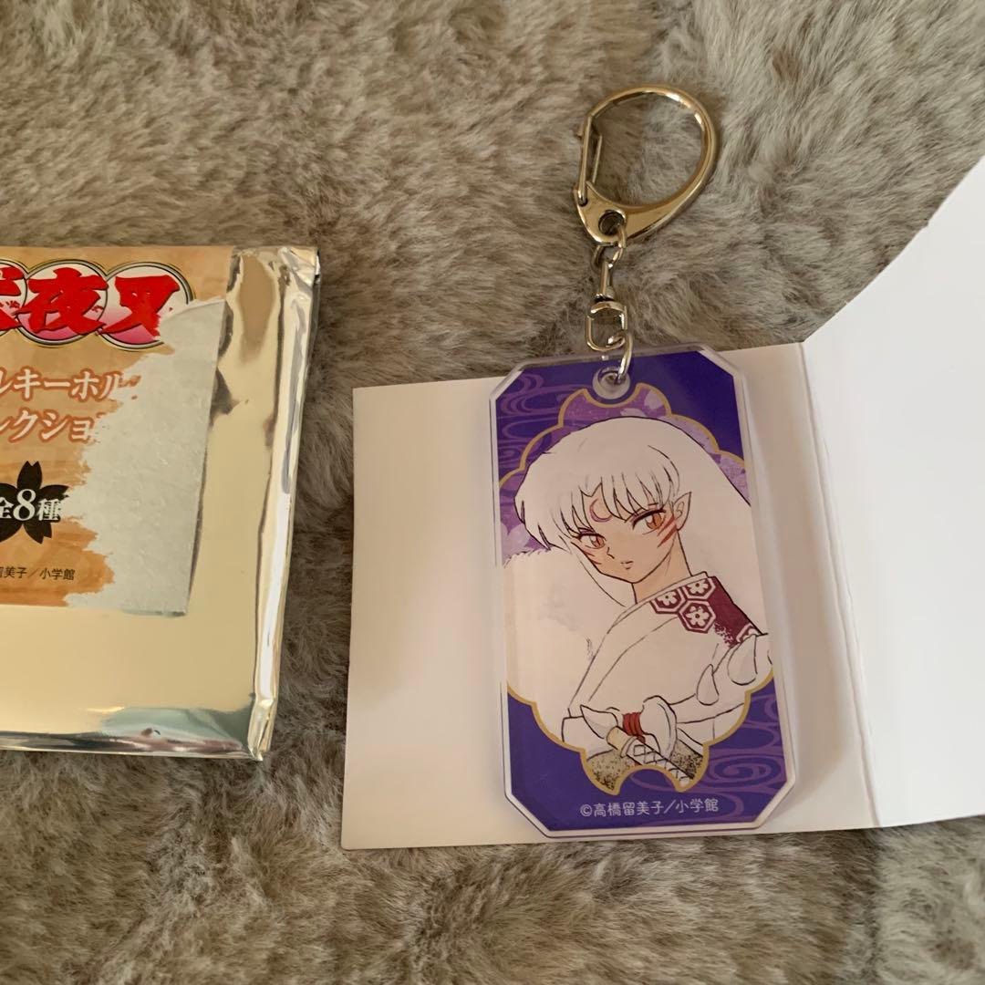 樋野まつり ヴァンパイア騎士memories 10巻 A4ポスター POPセット
