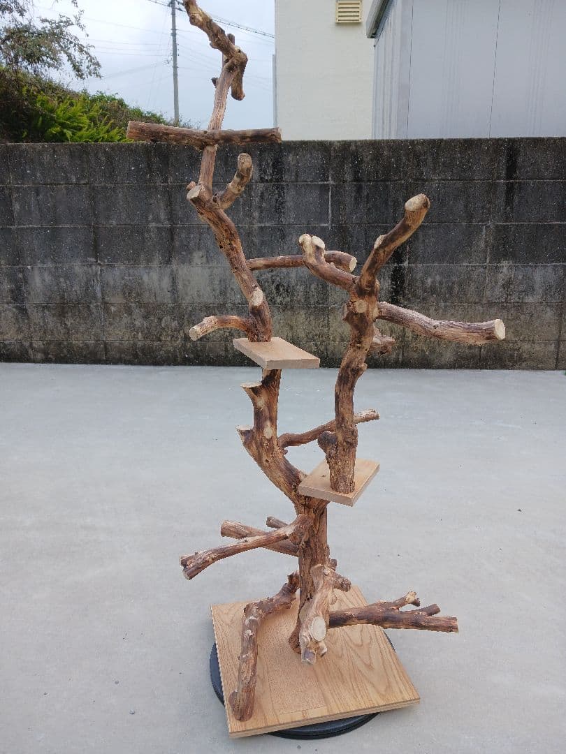 バードアスレチック バードアスレチックジム 止まり木、小鳥、流木