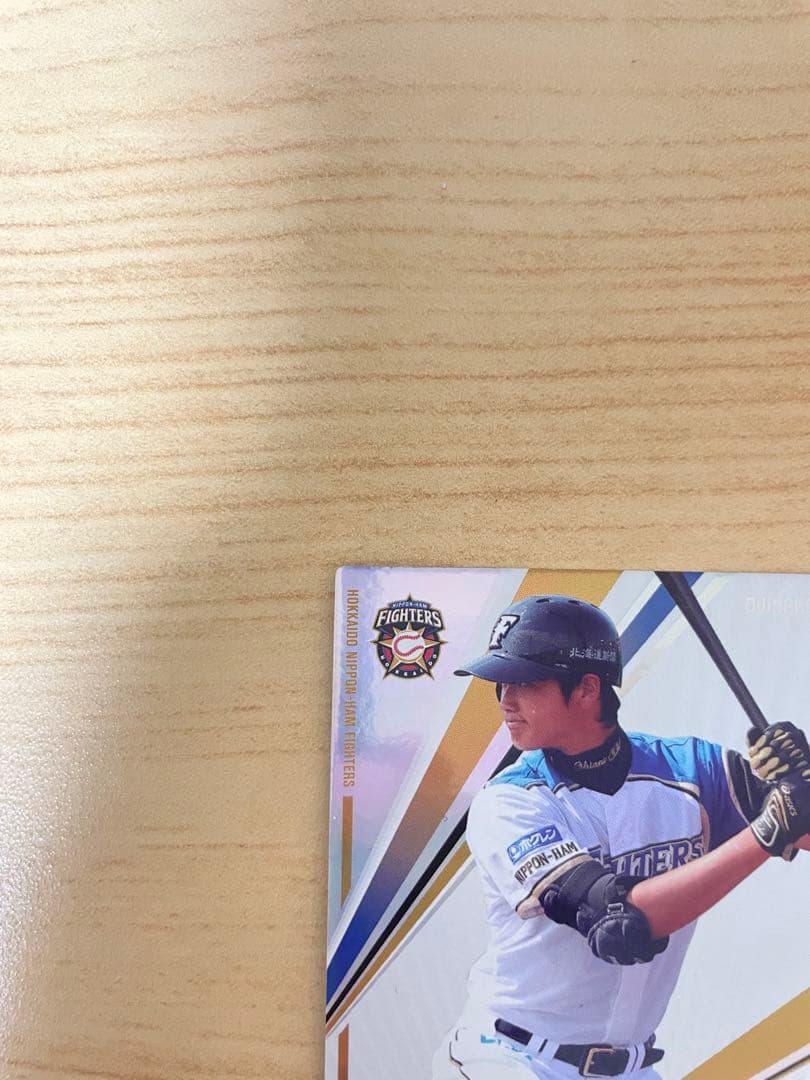 オーナーズリーグ　大谷翔平　OL14 インフィニティ 2013