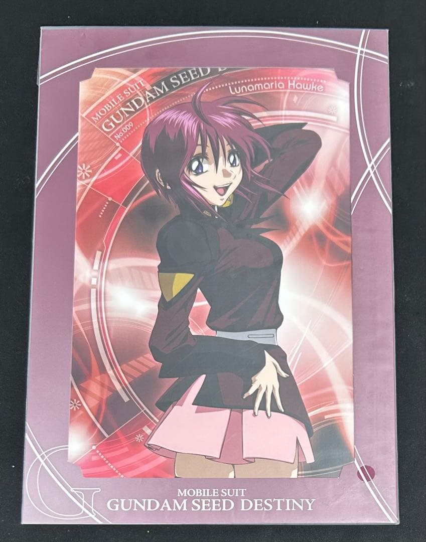 ガンダムSEED DESTINY ヒロイン ポートレート 全7種 コンプセット