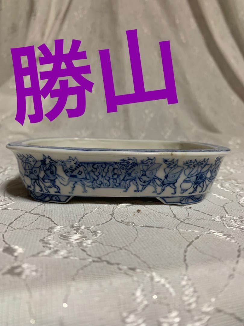 勝山 絵鉢 盆栽鉢