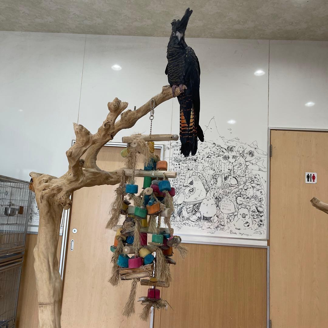 javaウッドプレイスタンド