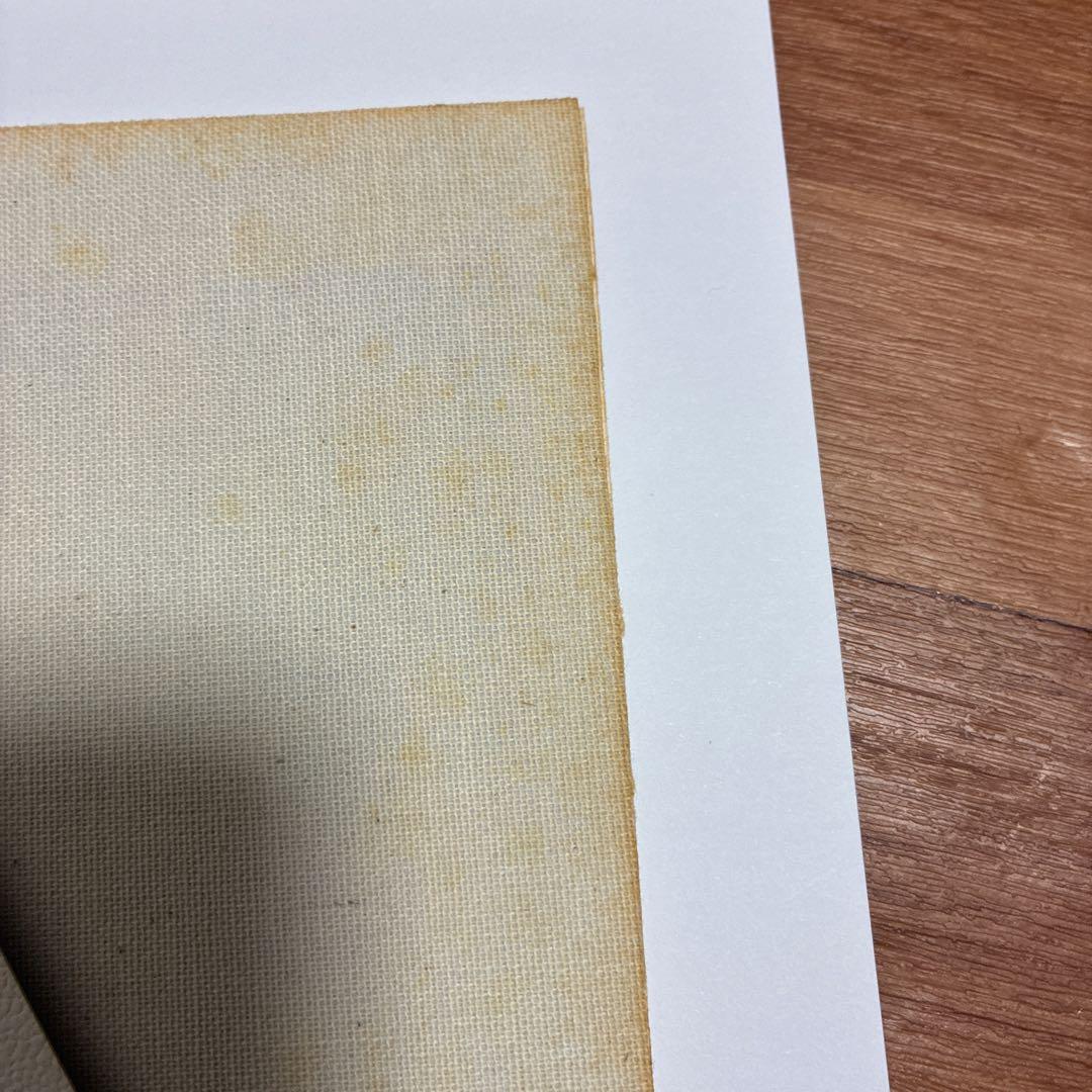 フランス　クロード•パトリック　油絵　幻想的　森の中の白馬と少女