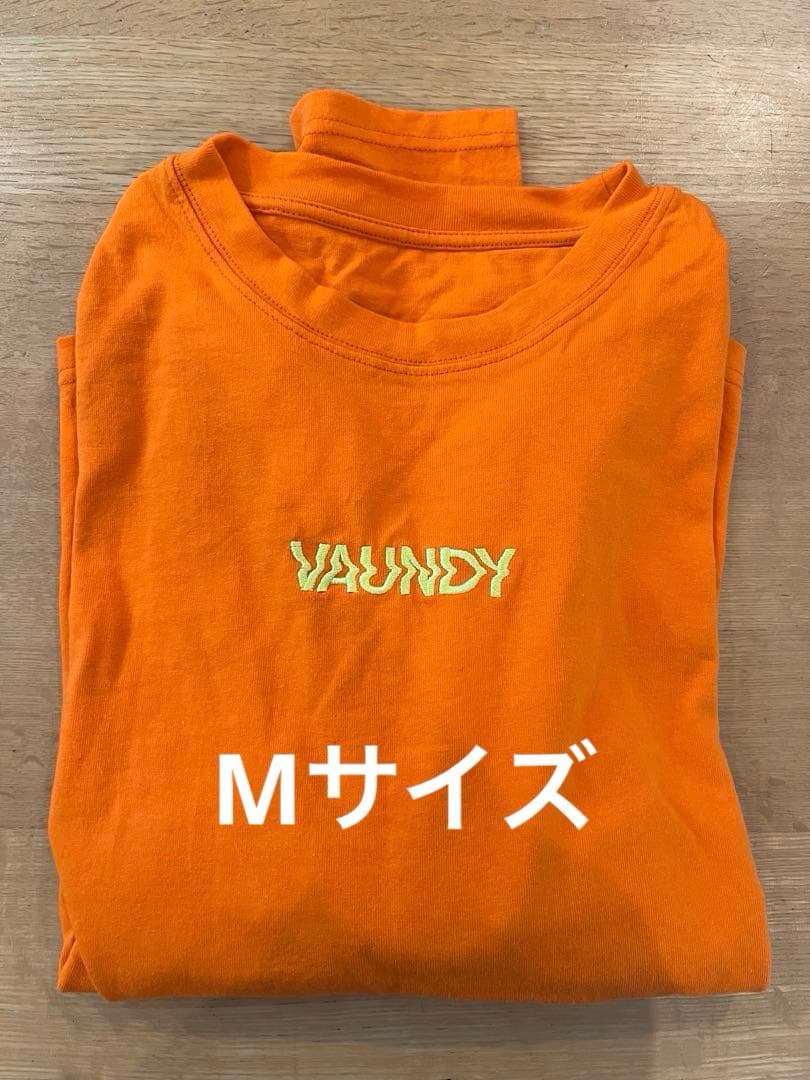 Vaundy ART Work Studio live 001 replica