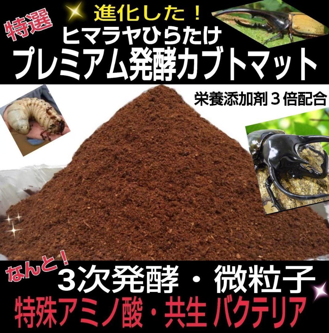 大量飼育に！たっぷり90リットル 極上☆ヒマラヤひらたけプレミアム3次