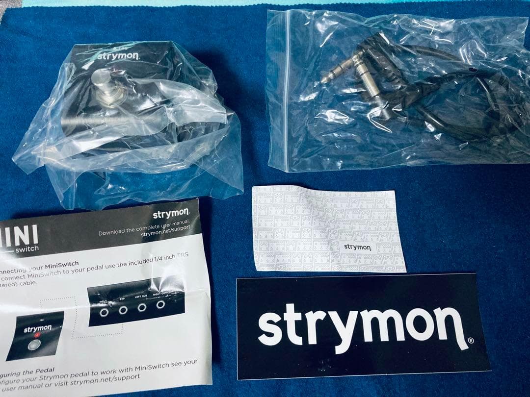 ギター Strymon DIG Midnight with Mini switch