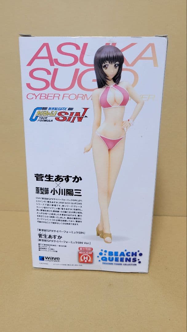 菅生あすか 「新世紀GPXサイバーフォーミュラSIN」 BEACH QUEENS