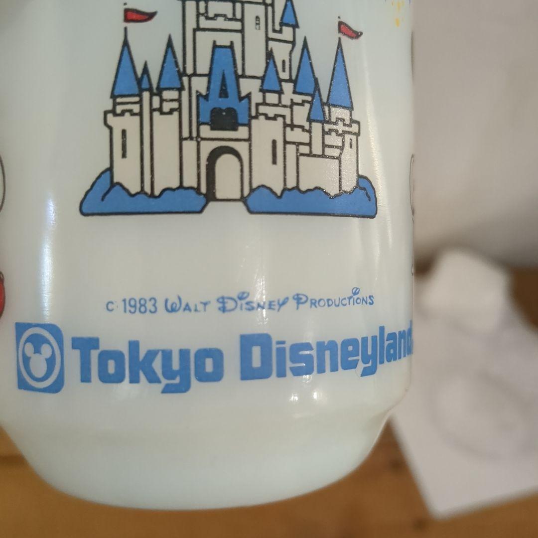 ファイヤーキング　ディズニー　ペア