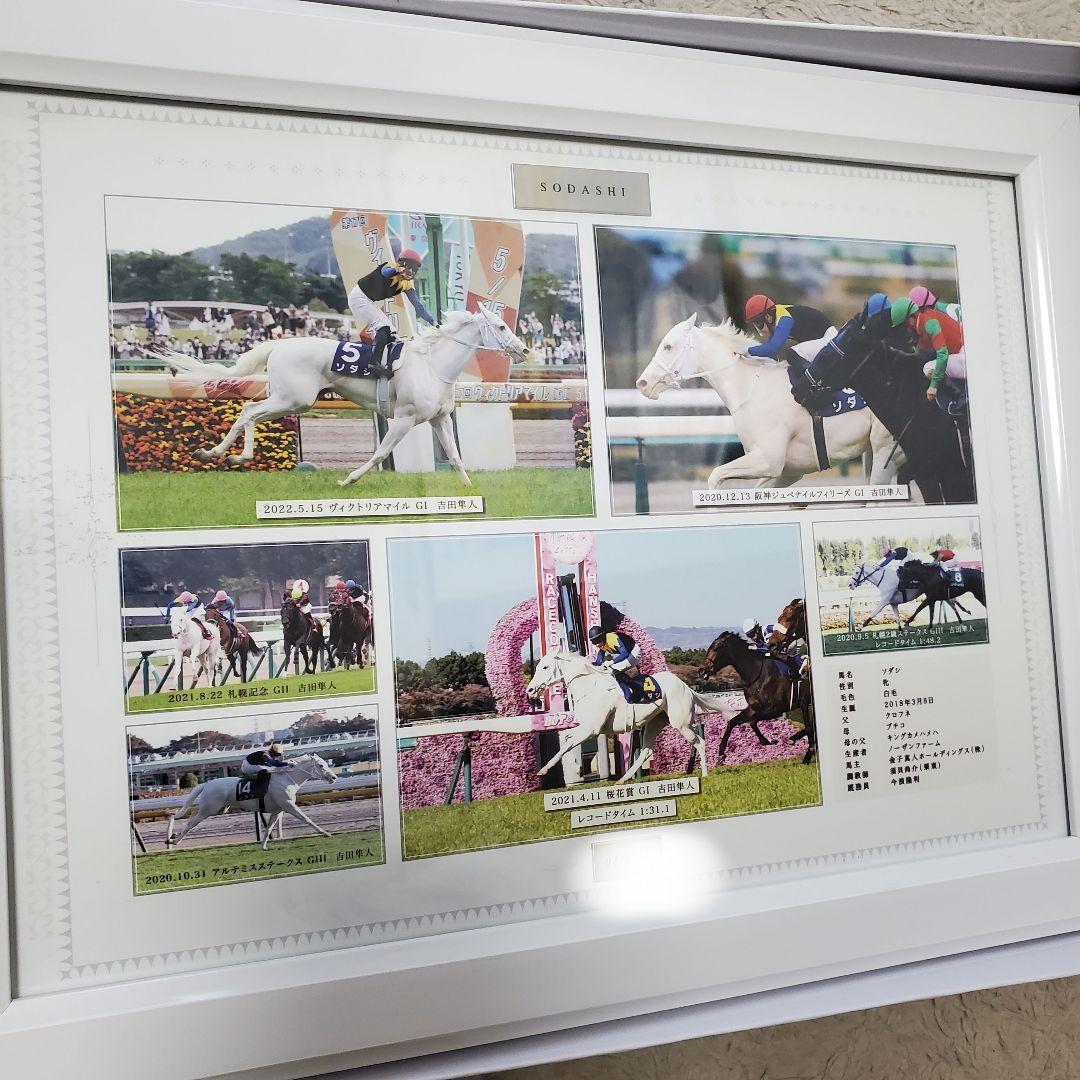 100個限定】ソダシ 引退記念写真パネル シリアルナンバー入り 競馬 JRA