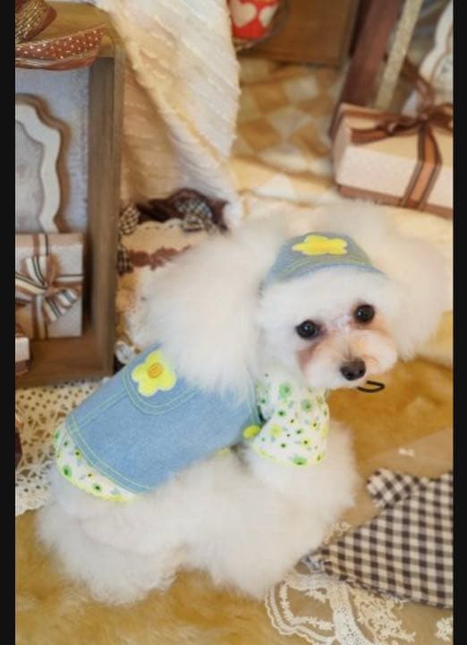 Miss Blue Pet ワンピース