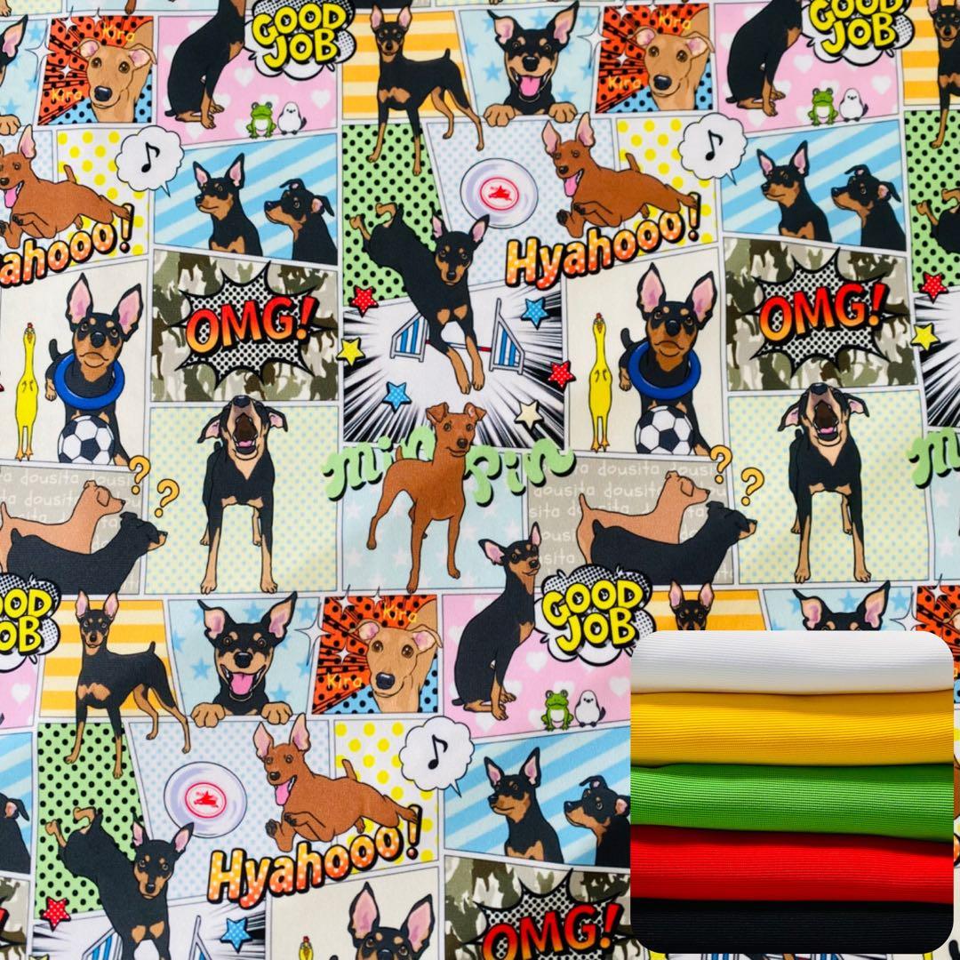 ミニピン、ミニピンを纏うイタグレ、イタグレを纏う