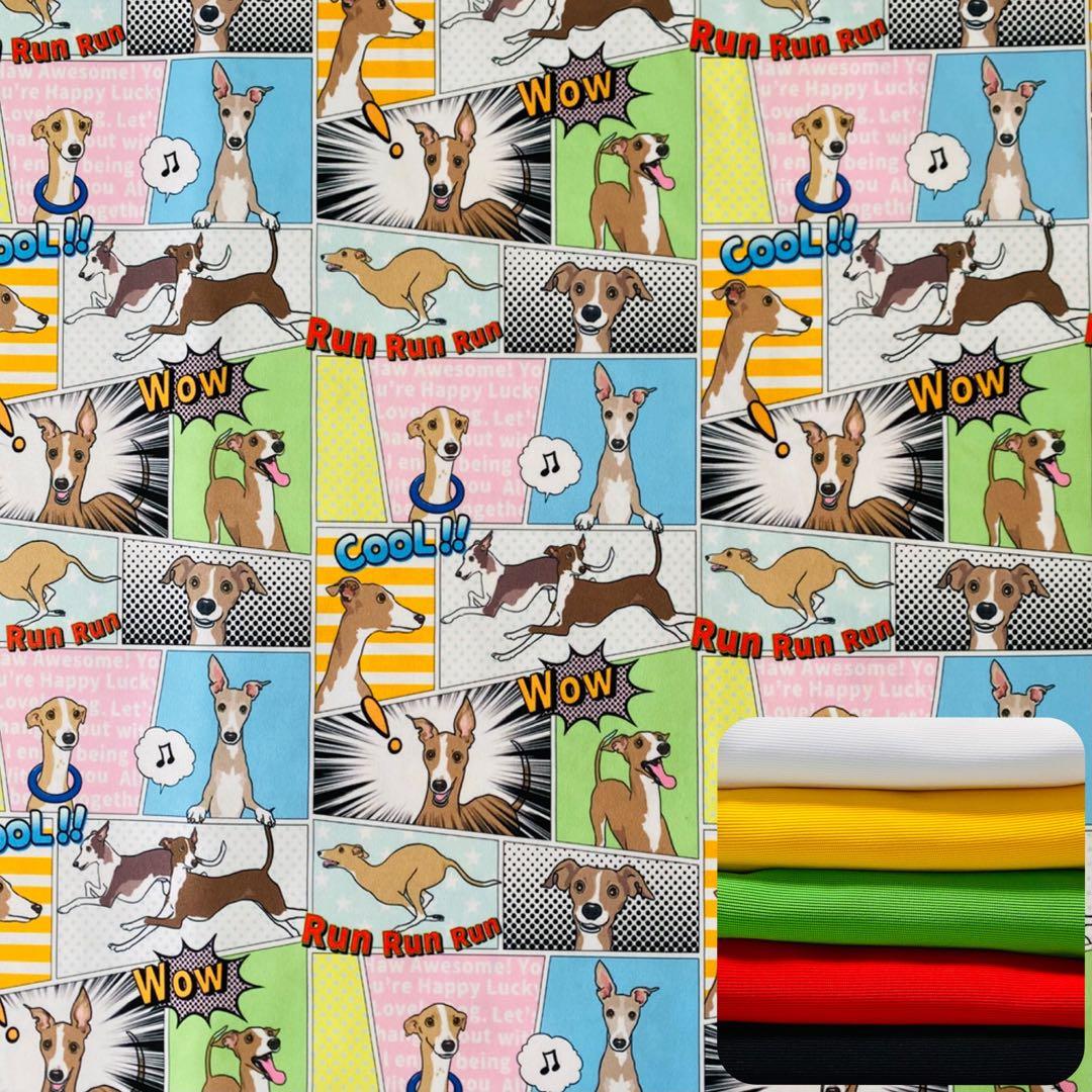 ミニピン、ミニピンを纏うイタグレ、イタグレを纏う