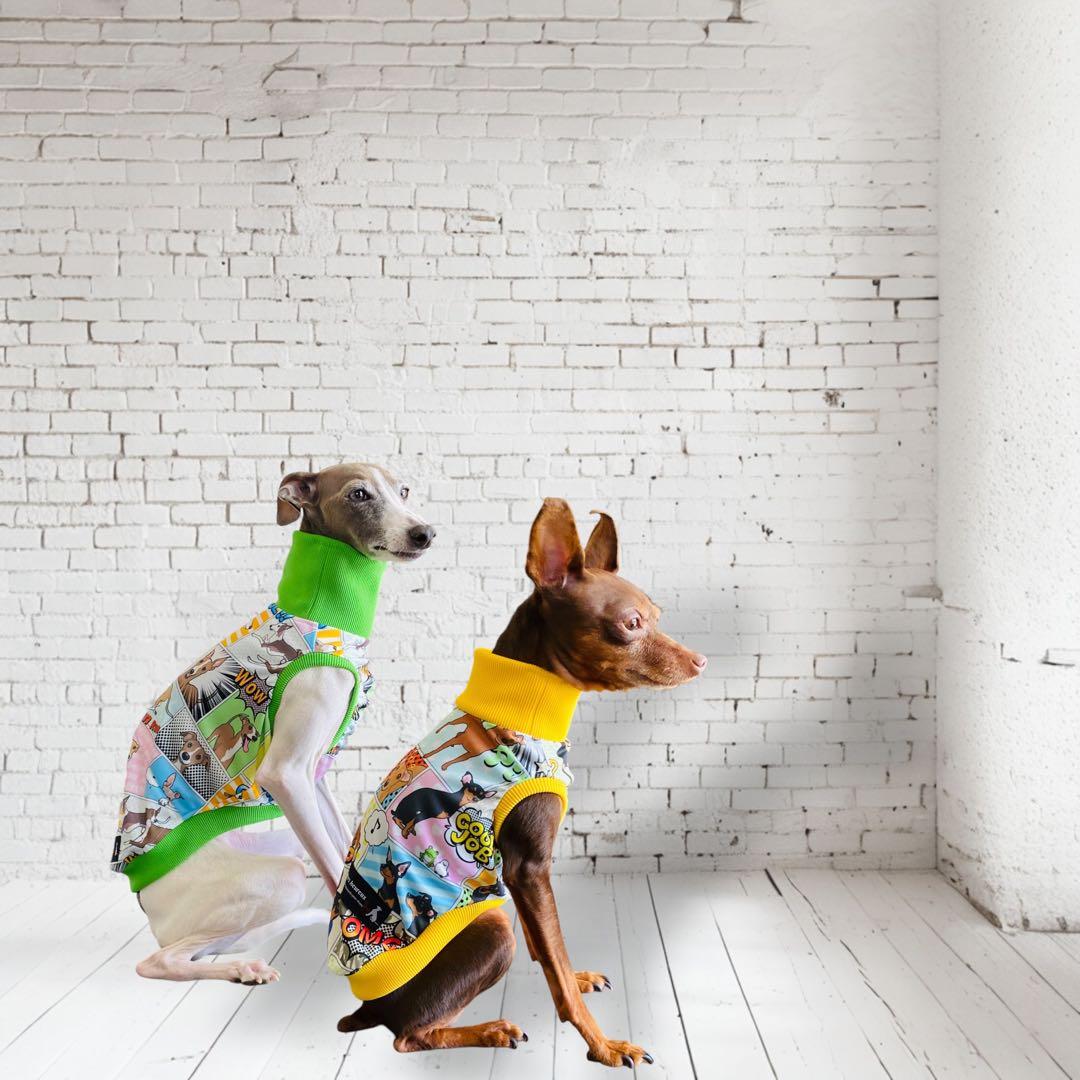 ミニピン、ミニピンを纏うイタグレ、イタグレを纏う