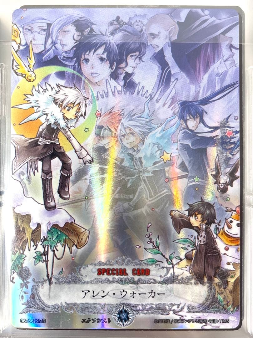 D.Gray-man ディーグレイマン TCG セミコンプリート ファイリング済