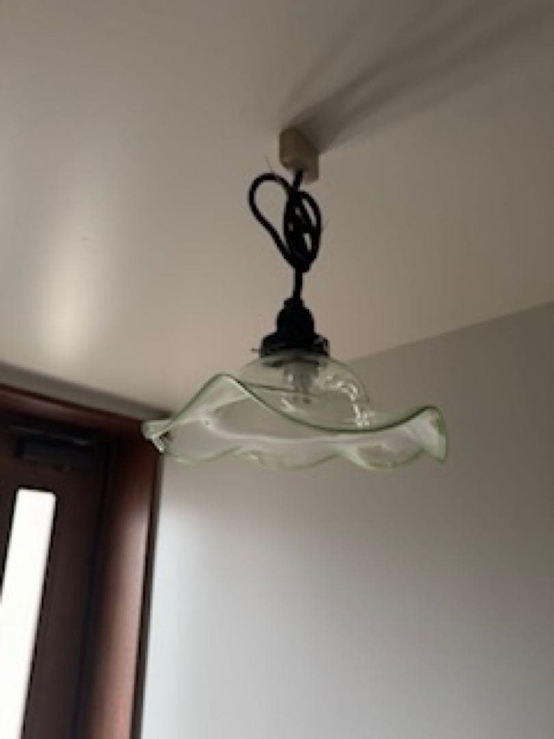 ️⃣プロフ必読！アンティーク 花リム ペンダントライト 透明・緑の縁