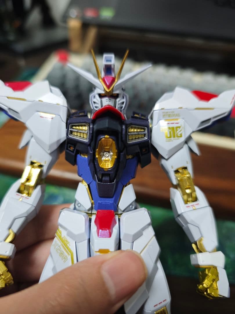 メタルビルド ストライクフリーダムガンダム メタルビルドFESTIVAL2024