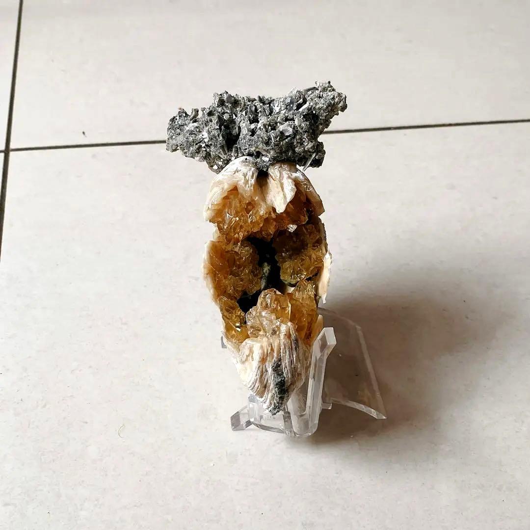 カルサイト 貝化石 鉱物